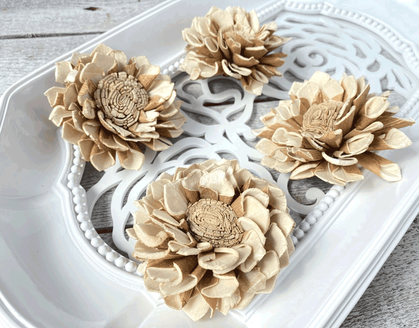 Tecksoi Jacob Sola Wood Flower 100% Premium Quality Pack Of 12