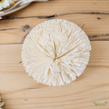 Tecksoi Kadam Sola Wood Flower – Premium Handcrafted Floral Decor Inspired by Nature | Pack Of 10