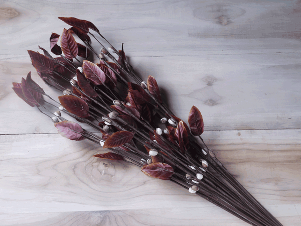 Tecksoi Kara Leaf Flower Stick Premium Quality 100% Natural Pack Of 10