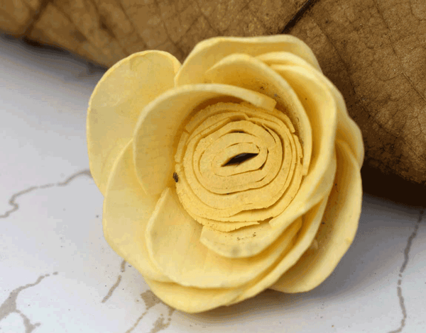 Tecksoi Lara Sola Wood Flower Premium Quality 100% Natural Pack Of 12