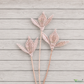 Tecksoi Lata Vine Tin Patti on Stem – Natural Dried Exotic Decorative Filler for Bouquets, Floral Arrangements & Creative Decor | Pack Of 10