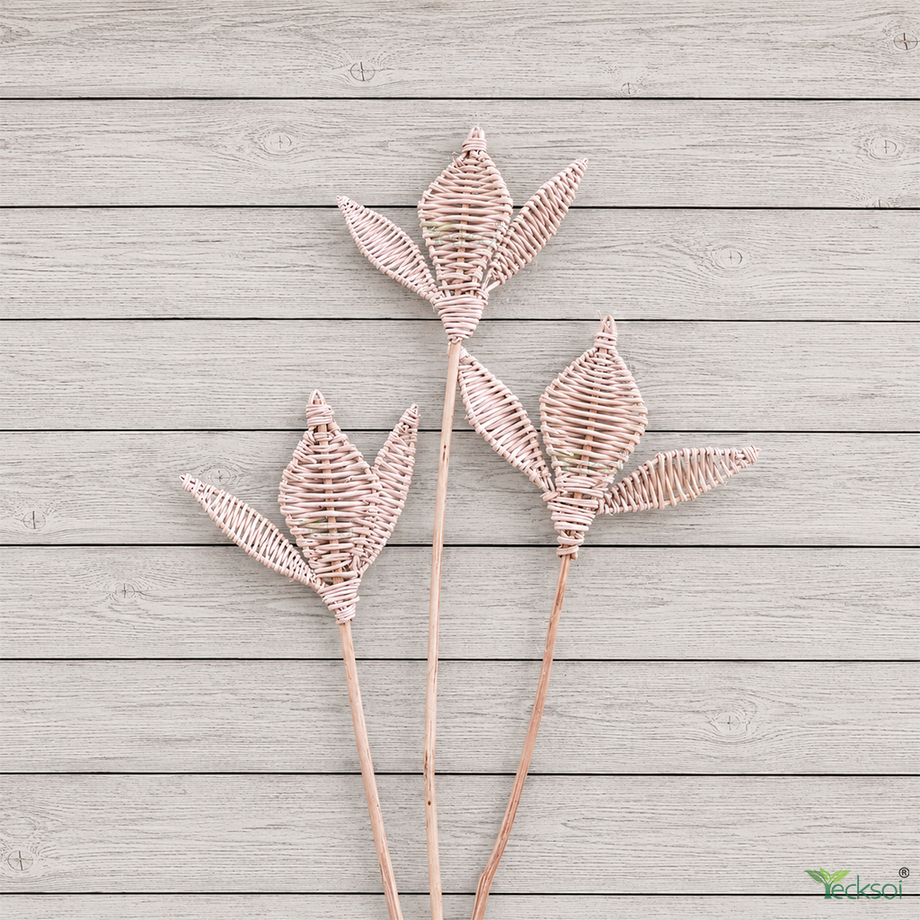 Tecksoi Lata Vine Tin Patti on Stem – Natural Dried Exotic Decorative Filler for Bouquets, Floral Arrangements & Creative Decor | Pack Of 10