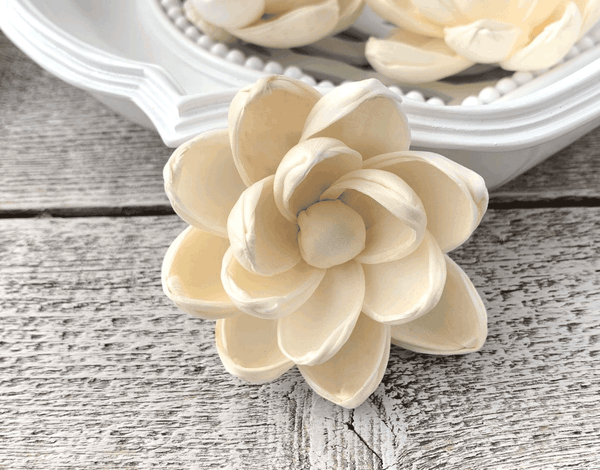 Tecksoi Leo Sola Wood Flower Premium Quality 100% Natural Pack Of 12