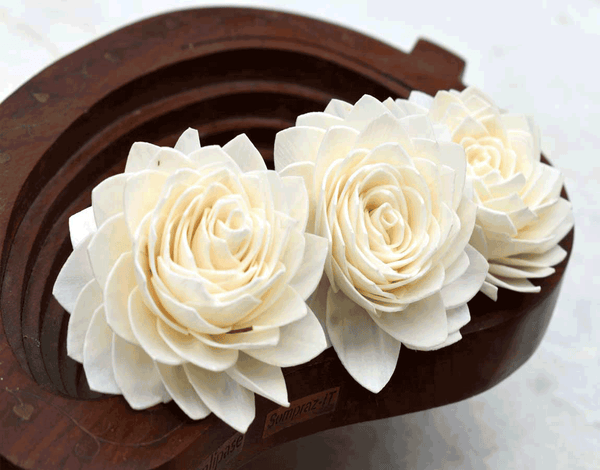 Tecksoi Love Bird Sola Wood Flower Premium Quality 100% Natural Pack Of 12