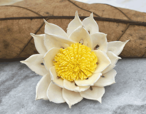 Tecksoi Marguerite Sola Wood Flower Premium Quality 100% Natural Pack Of 12