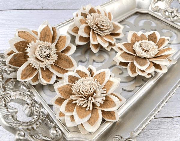 Tecksoi Mercury Sola Wood Flower Premium Quality 100% Natural Pack OF 12