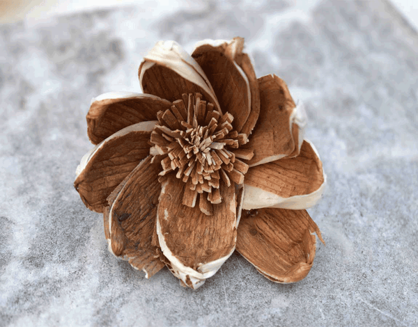 Tecksoi Milano Sola Wood Flower Premium Quality 100% Natural Pack Of 12