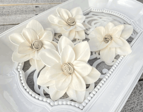 Tecksoi Miranda Sola Wood Flower Premium Quality 100% Natural Pack Of 12