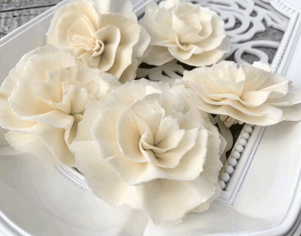 Tecksoi Moon Light Sola Wood flower Premium Quality 100% Natural Pack Of 12