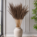 Tecksoi Natural Dried Brown Pampas Grass Stems for Vase & Boho Decor – Premium Handmade Natural Dried Grass for Home Decoration | Pack Of 10 Stems