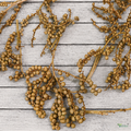 Tecksoi Natural Dried Canella Berries – Premium 100% Natural Dry Exotic Filler for Bouquets, Floral Arrangements & Decorative Crafts | Pack Of 10