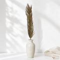 Tecksoi Natural Dried Cycas Leaves – Sago Palm Fronds for Floral Decor, Bouquets & DIY Crafts | Pack Of 5