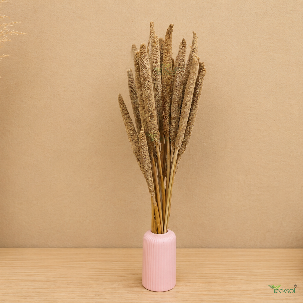 Tecksoi Natural Dried Fleur Millet – Premium 100% Natural Dry Exotic Filler for Bouquets, Floral Arrangements & Decorative Styling | Pack Of 10