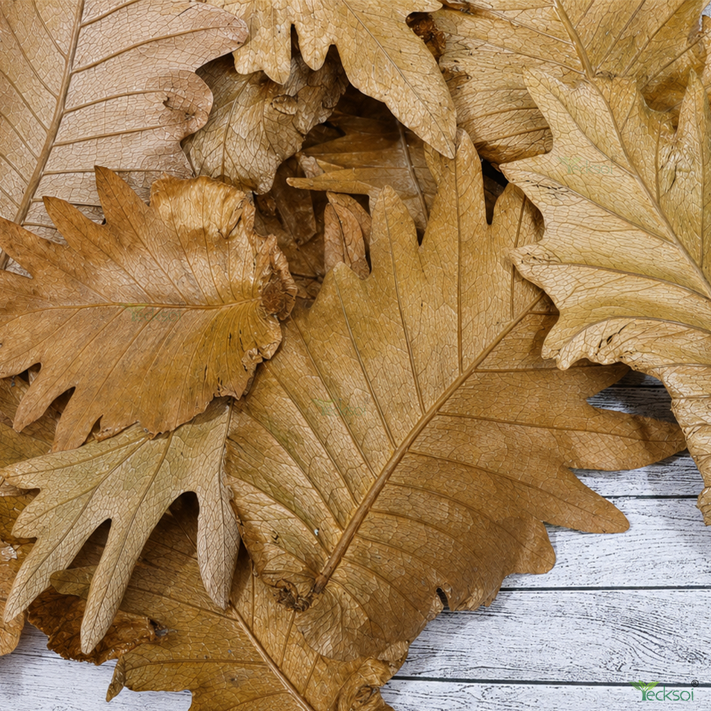 Tecksoi Natural Dried Golden Brown Oak Leaves – Premium 100% Natural Dry Exotic Filler for Bouquets, Floral Arrangements & Decorative Crafts | Pack Of 10