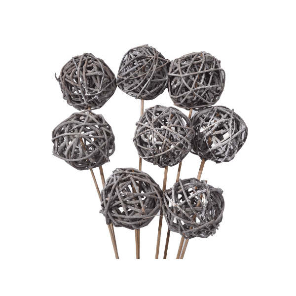 Tecksoi Natural Dried Lata Ball With Stem | Exotic | 100% Natural | Eco Friendly | Pack Of 12