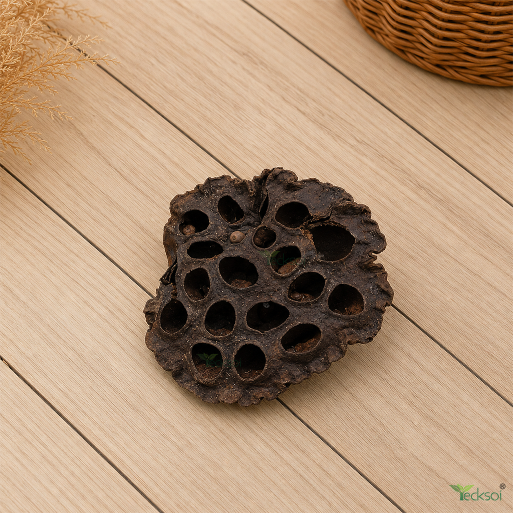 Tecksoi Natural Dried Lotus Pods – Premium 100% Natural Dry Exotic Filler for Bouquets, Floral Arrangements & Decorative Crafts | Pack Of 10