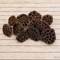 Tecksoi Natural Dried Lotus Pods – Premium 100% Natural Dry Exotic Filler for Bouquets, Floral Arrangements & Decorative Crafts | Pack Of 10