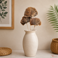 Tecksoi Natural Dried Mushroom Woody Polypore Fungus for Crafting & Decor – Premium Handmade Natural Botanicals | Pack Of 10