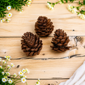 Tecksoi Natural Dried Pine Cone Rustic Wood Botanicals for Wreaths, Crafts & Home Decor | Pack Of 20