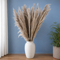 Tecksoi Natural Dried Premium Big Fluffy Pampas Grass – Luxury Dry Flowers for Vase Decoration, Boho Home Decor & Floral Arrangements | Pack Of 10 Stems
