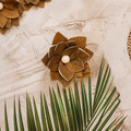 Tecksoi Natural Handcrafted Sola Wood Skin Bromeliads Flower | Pack Of 10