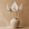 Tecksoi Natural Large Palm Leaves – Premium Dry Exotic Decorative Filler | Pack Of 5