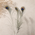 Tecksoi Natural Peacock Feathers – Real Eye Feathers for Crafts, Floral Decoration & Premium Home Decor | Pack Of 10