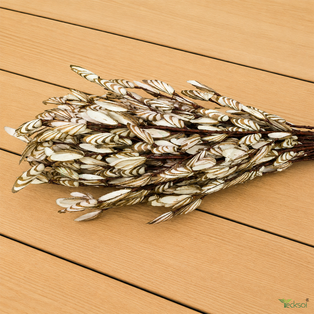 Tecksoi Natural Tetul Pata Sola Wood Flower Sticks – Handmade Premium Dry Flower Decor for Home & Event Styling | Pack Of 5