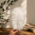 Tecksoi Natural White Ostrich Feather – Premium Dried Rustic Boho Decor for Floral Styling & Luxury Home Decoration | Pack Of 5