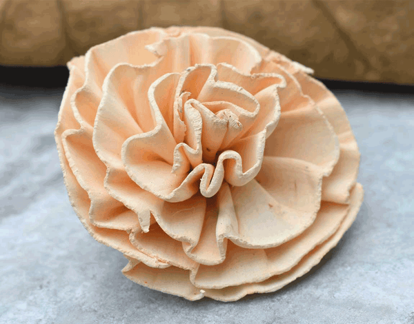 Tecksoi New Dawn Sola Wood Flower Premium Quality 100% Natural Pack Of 12