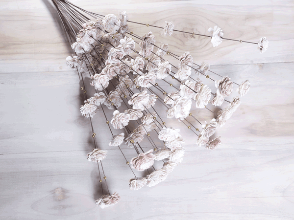 Tecksoi Off-White Coco Belle Moti Sola Wood Flower Stick Premium Quality 100% Natural Pack Of 10