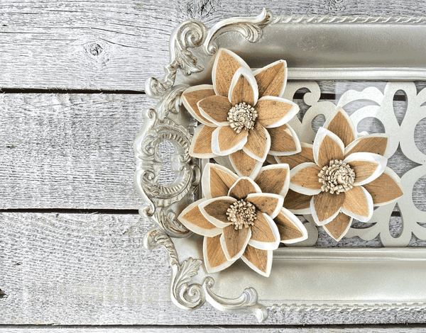 Tecksoi Oliver Sola Wood Flower Premium Quality 100% Natural Pack Of 12