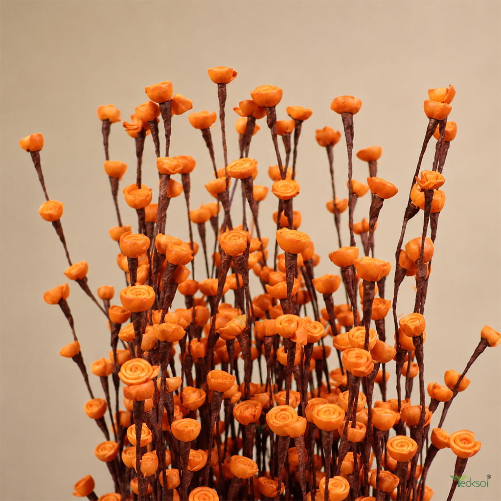 Tecksoi Orange Rose Buds Sola Wood Flower Sticks – Handmade Premium Dry Flower Decor for Home & Event Styling | Pack Of 5