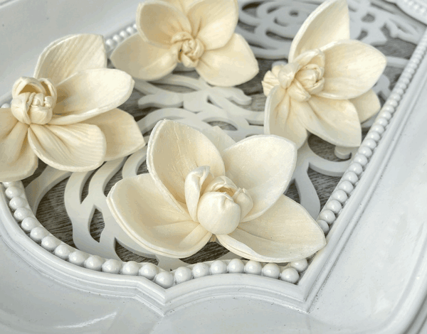 Tecksoi Orchid Sola Wood Flower Premium Quality 100% Natural Pack Of 12