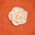 Tecksoi Paeonia Sola Wood Flower – Premium Realistic Handcrafted Floral Decor for Elegant Spaces | Pack Of 10