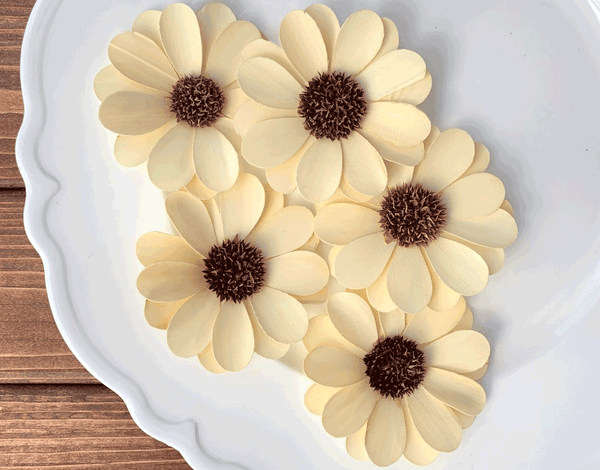 Tecksoi Palm Belle Sola Wood Flower Premium Quality 100% Natural Pack Of 12