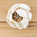 Tecksoi Peony Coral Charm Sola Wood Flower – Luxury Handcrafted Floral Decor with Realistic Bloom Beauty | Pack Of 10