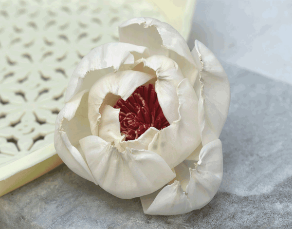 Tecksoi Peony Red Beauty Sola Wood Flower Premium Quality 100% Natural Pack Of 12