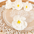 Tecksoi Plumeria Sola Wood Flower – Handcrafted Premium Floral Decor with Tropical Elegance | Pack Of 10