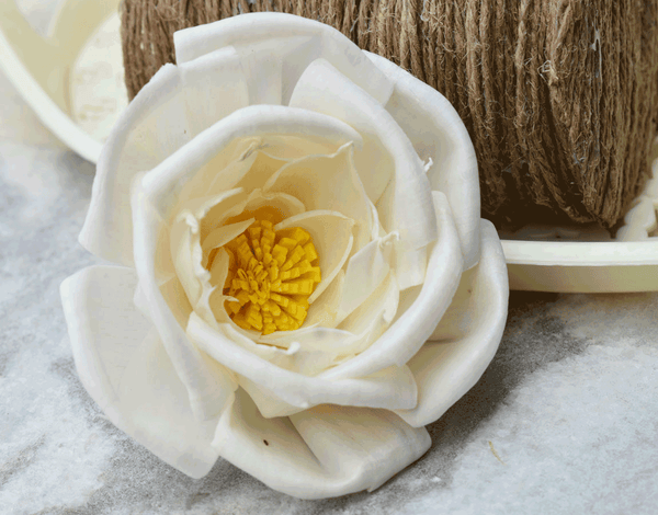 Tecksoi Pollen Bird Rose Sola Wood Flower Premium Quality 100% Natural Pack Of 12