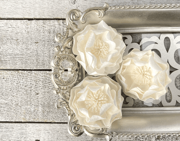 Tecksoi Portland Rose Sola Wood Flower Premium Quality 100% Natural Pack Of 12