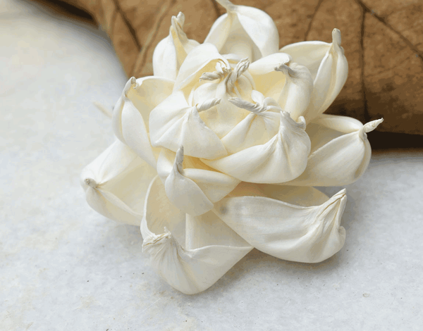 Tecksoi Posie Sola Wood Flower Premium Quality 100% Natural Pack Of 12