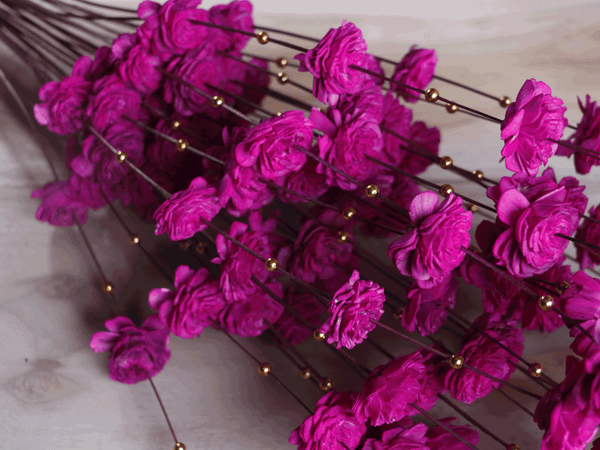 Tecksoi Purple Coco Belle Moti Sola Wood Flower Stick Premium Quality 100% Natural Pack Of 10