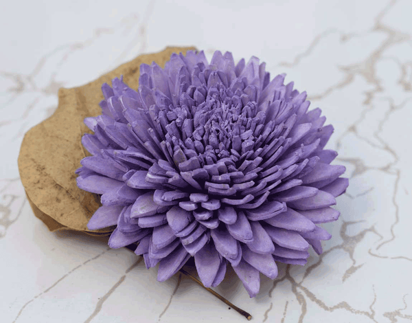 Tecksoi Purple Wild Zinnia Sola Wood Flower Premium Quality 100% Pack OF 12