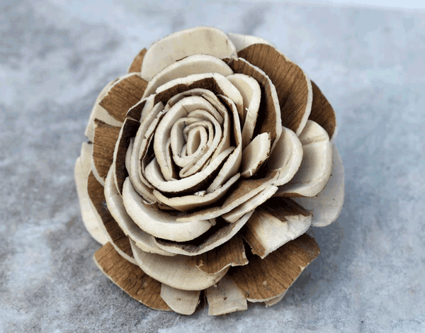 Tecksoi Raizel Sola Wood Flower Premium Quality 100% Natural Pack Of 12