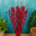 Tecksoi Red Palm Springs – Premium Dry Palm Springs for Home Decor, Vase Decoration & Event Styling | Pack Of 10