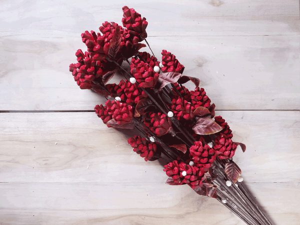 Tecksoi Red Pine Sola Wood Flower Stick Premium Quality 100% Natural Pack Of 10