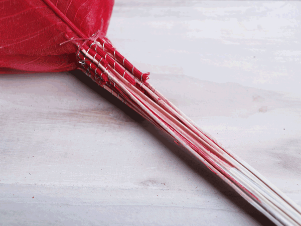 Tecksoi Red Skeleton long Leaf With Stem | Eco Friendly | Premium Quality | 100% Natural | Pack Of 12