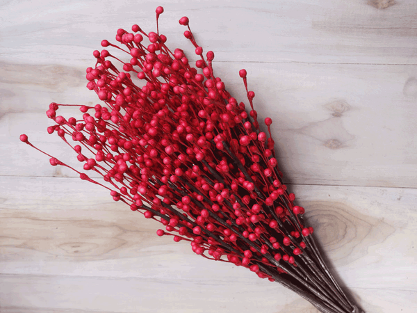 Tecksoi Red Thermocol Moti Stick Premium Quality 100% Natural Pack Of 10