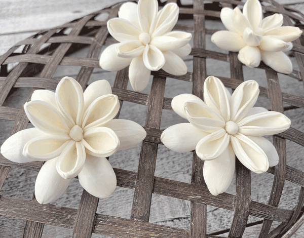 Tecksoi Riya Sola Wood Flower Premium Quality 100% Natural Pack Of 12